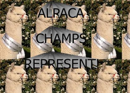 ALPACA REPRESENT