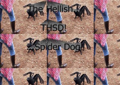 (THSD) The Hellish Spider Dog!