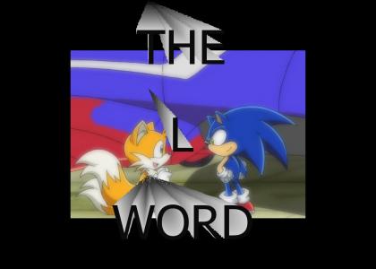 Sonic&Tails are using a special word..