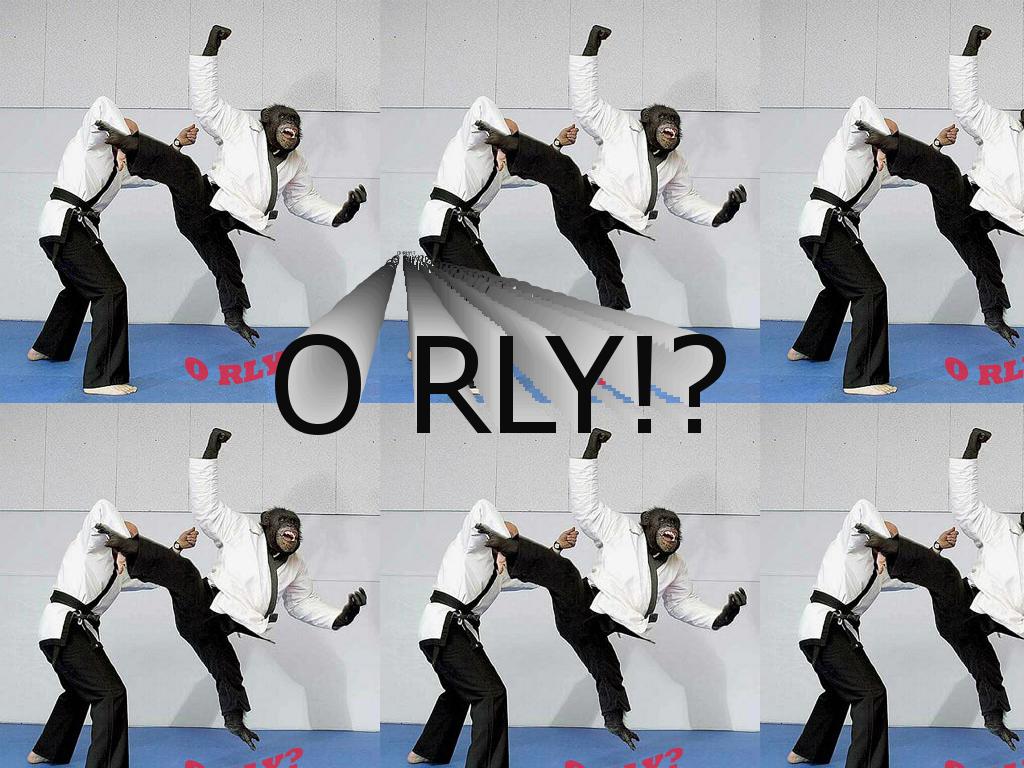 orlychimp