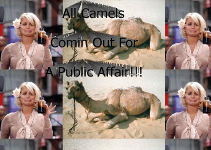 Jessica Simpson Has Affair With A Camel