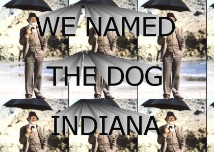 Indiana Jones is the dog now, man