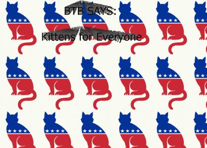Kittens for Everyone