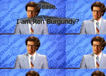 Please. I am Ron Burgundy?