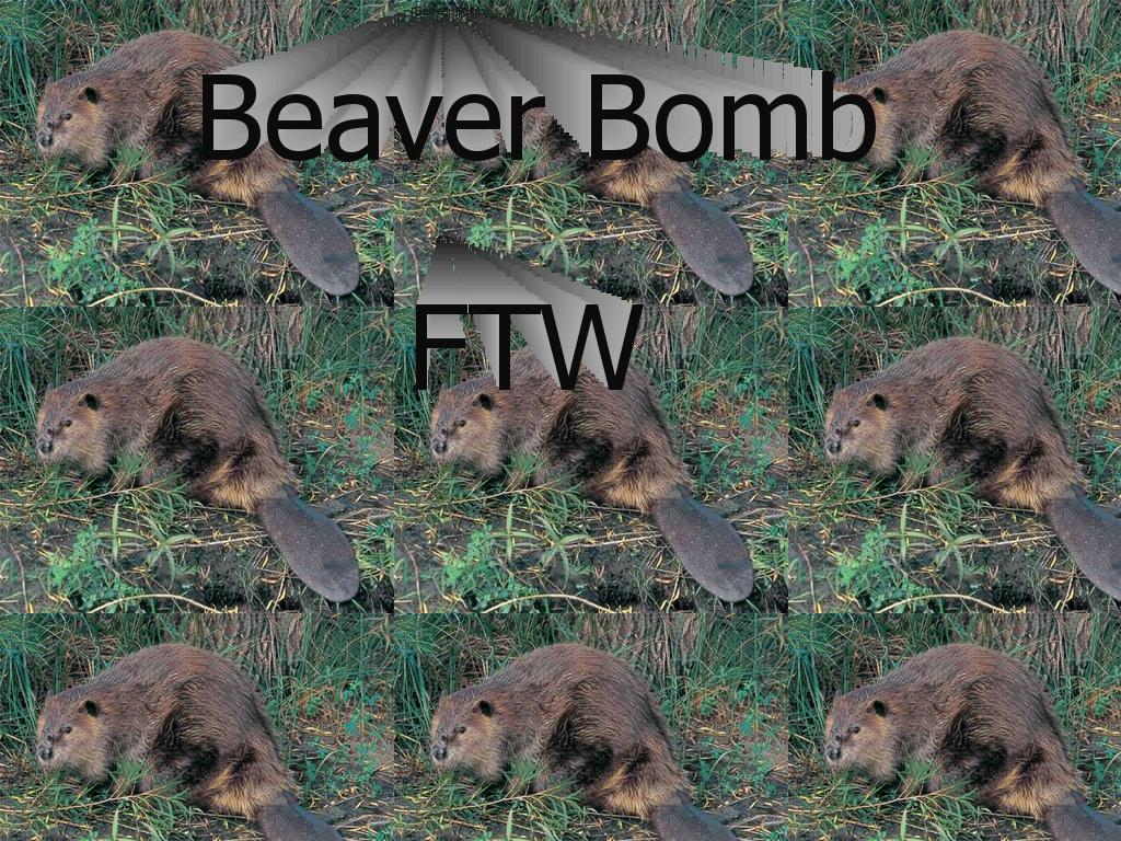 beaverbomb