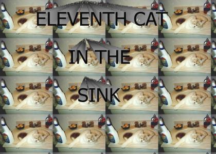 ELEVENTH CAT IN THE SINK