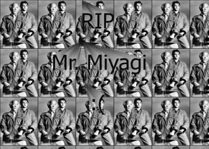 Mr. Miyagi, you were a great man :(
