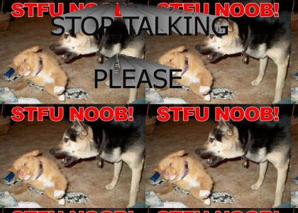 STFU NOOB