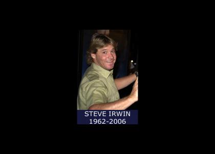 Ten Bell Salute For Steve Irwin