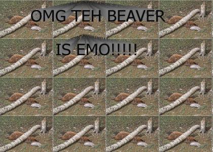 Emo Beaver