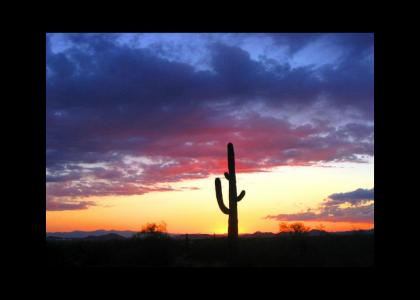 The Desert Song