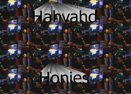 Harvard Honies
