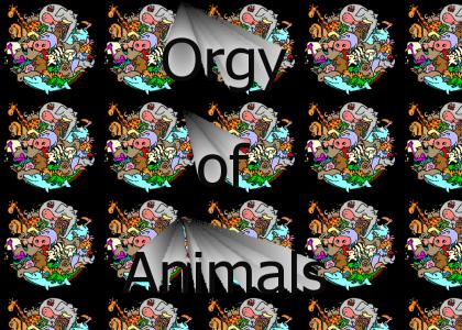 Animal Orgy