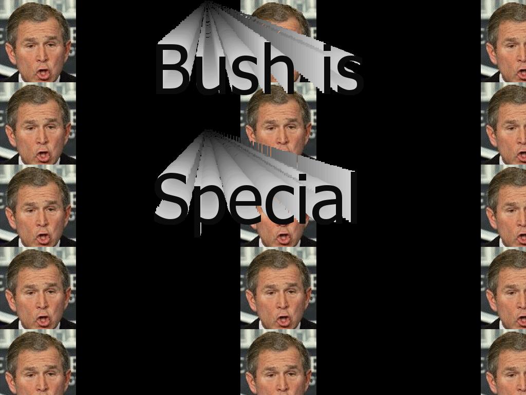 bushisspecial