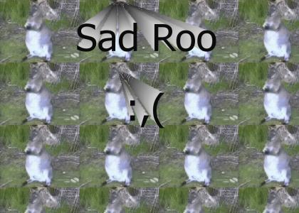 Sad Roo