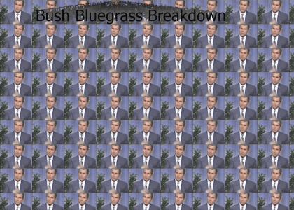 Bush Bluegrass Breakdown