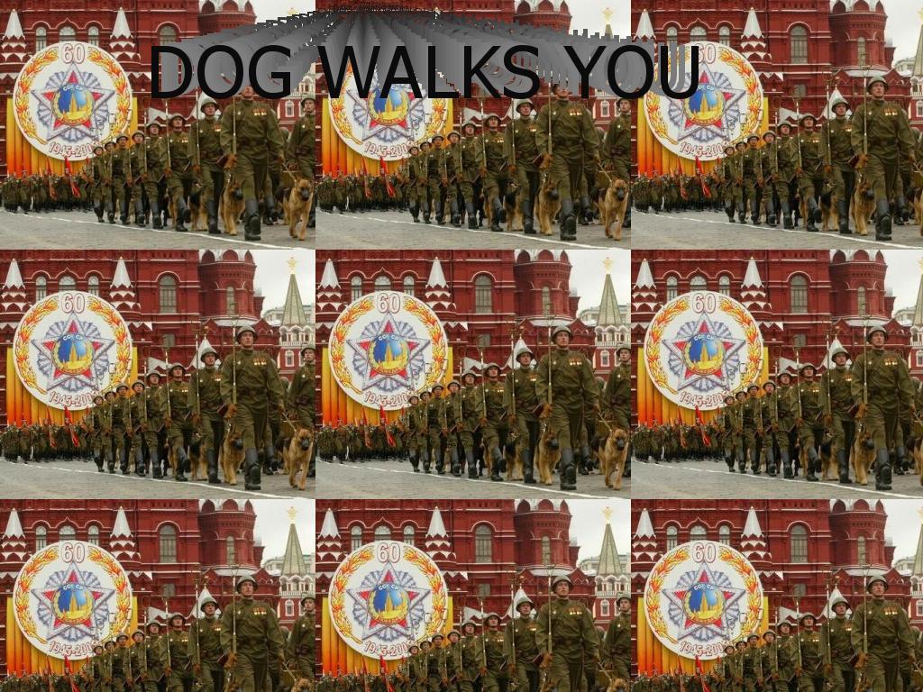 dogwalksyou