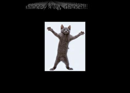 dancing kitty!