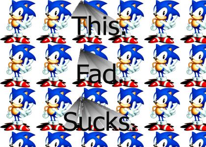 Sonic gives a final piece of advice...