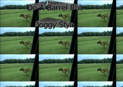 Do A Barrel Roll