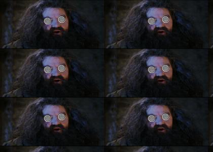 Hagrid Tells the Truth