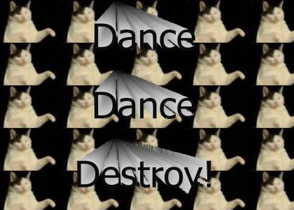 Dancing Destruction Kitties