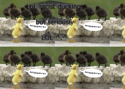 Lol, Duck Racism