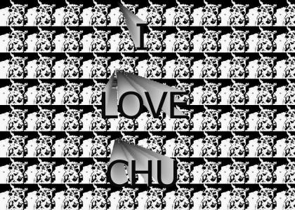 my love for chu bitches