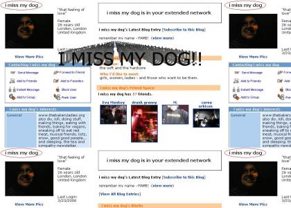 myspace - i miss my dog