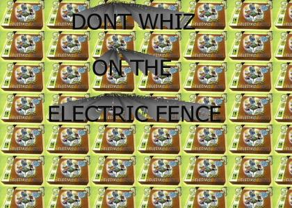 the electric fence