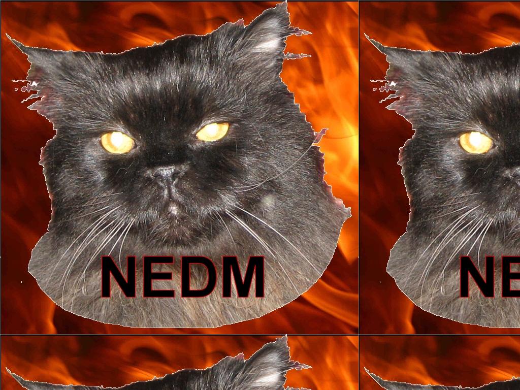 newfaceofnedm