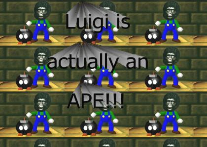 LUIGI IS AN APE!