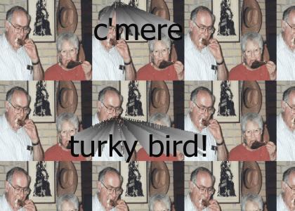 c'mere, turky bird