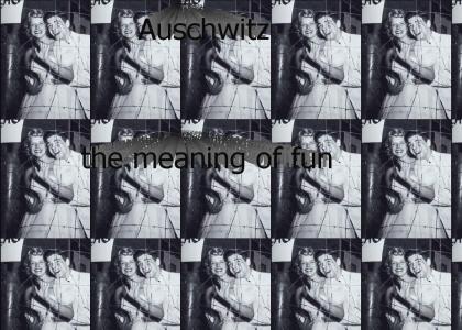 Auschwitz : the meaning of fun