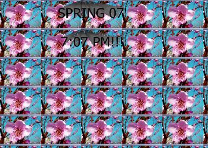 ITS SPRING!!!!!!!!!!!!!!!!!