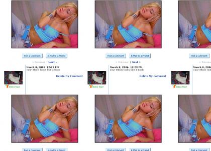 fake myspace girl gets owned by a cat...