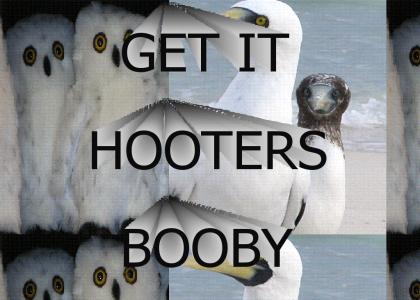 Check out my boobs hooters