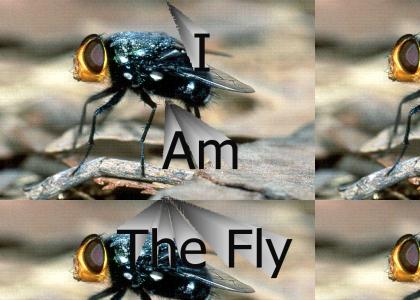 I am the Fly