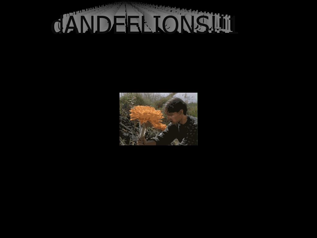 dandeelions