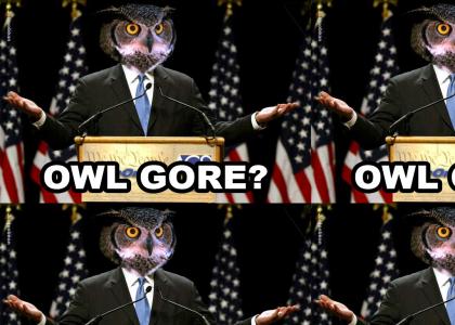 I am Owl Gore