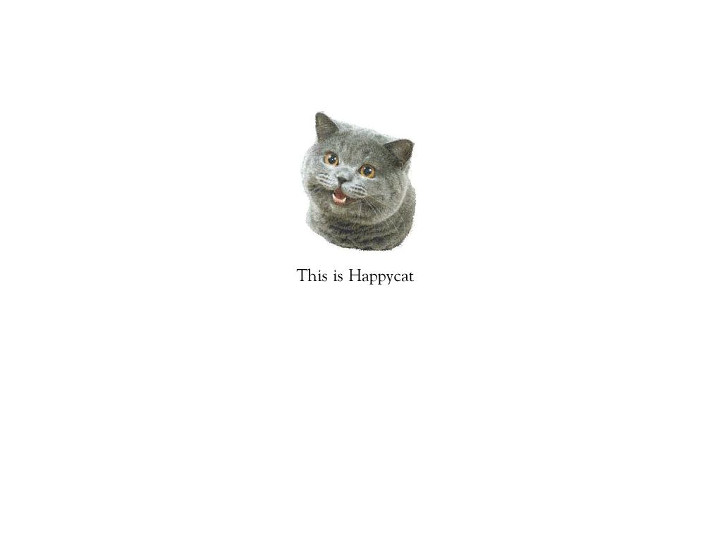 whatisthehappycat