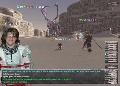 FInal Fantasy XI meets PALADIN!