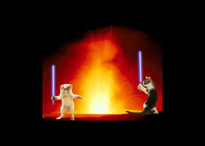 Star Wars: Revenge of The Kittens