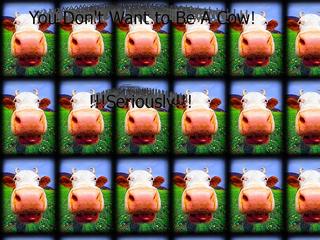 dont-want-cow