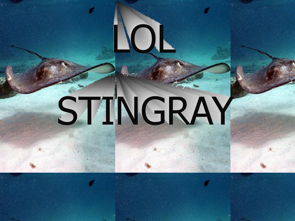 lolstingray