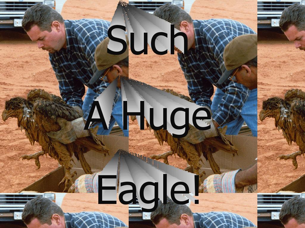 bigeagle