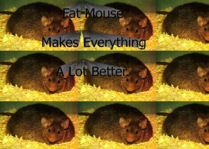 Behold The Fat Mouse