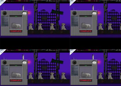 Sheep leave The Machine Sheep leave The Machine