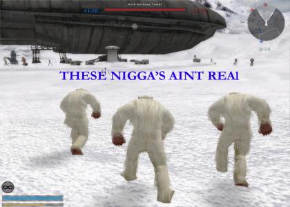 Hoth N*gg*s ain't real