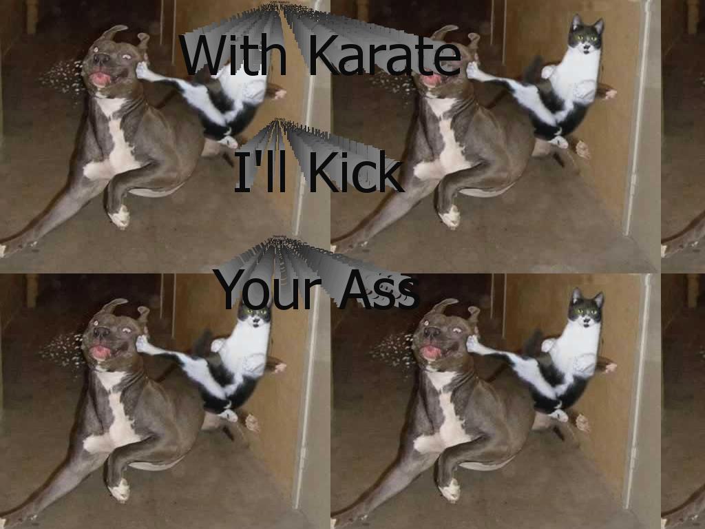 karatekick